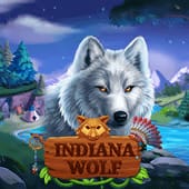 Lobo de Indiana