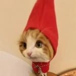 Mauricio Calderón Avatar